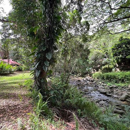 Evasion Bungalow Tropical Spa Sarraméa Dış mekan fotoğraf