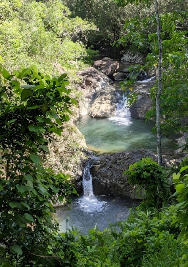 Evasion Bungalow Tropical Spa Sarraméa Dış mekan fotoğraf