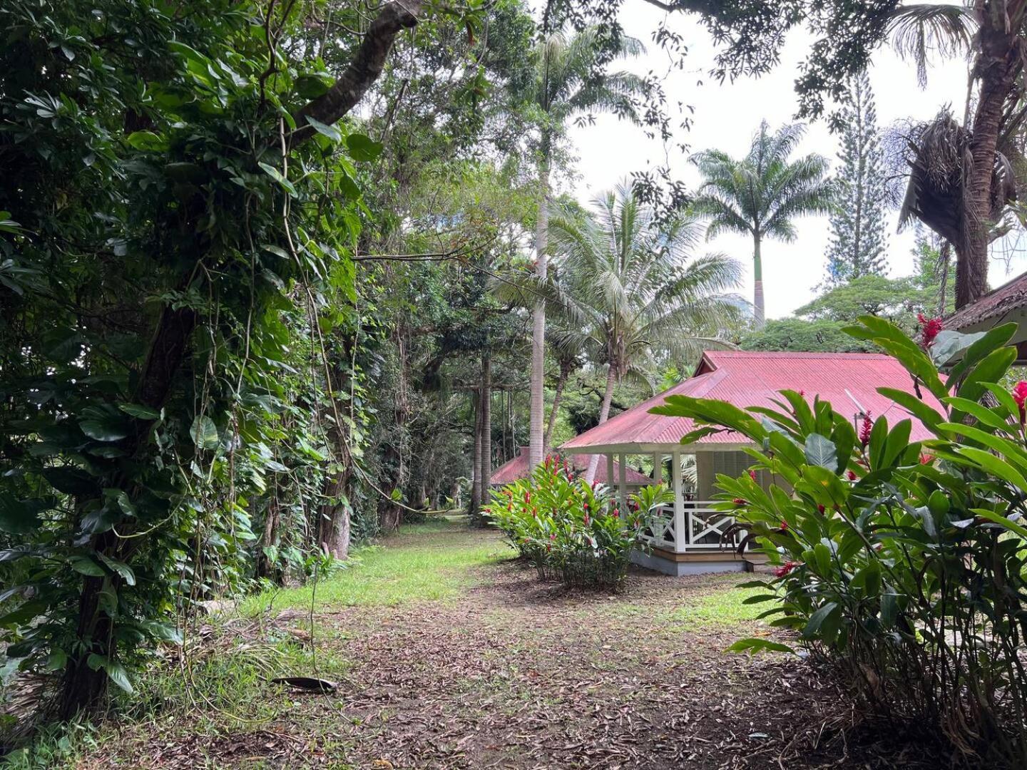 Evasion Bungalow Tropical Spa Sarraméa Dış mekan fotoğraf